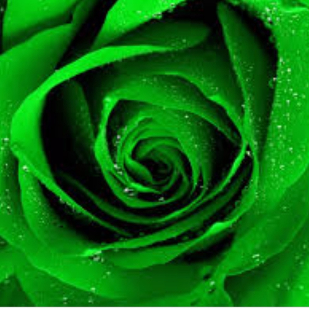 Meet your Posher, Wendi